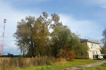 Удаление деревьев в Ульяново